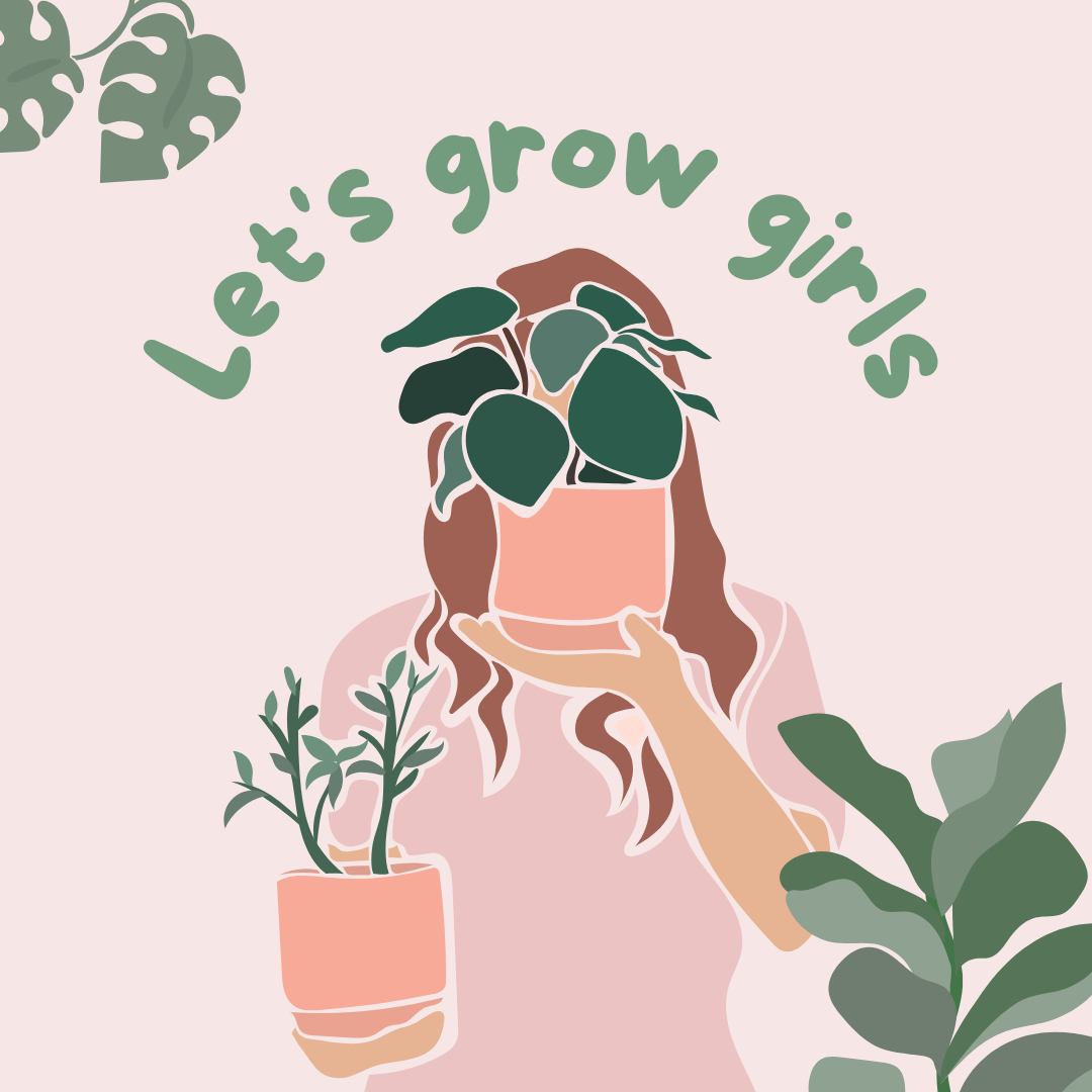 How to grow your Che Naildid Seed Paper?